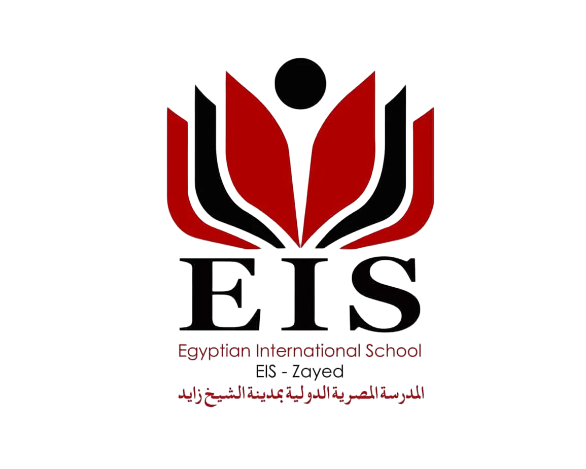 bgremove_fccc592147_bgremoved_1761434738307